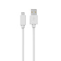 USB Cable: A male to C 2.0 male, 30cm
